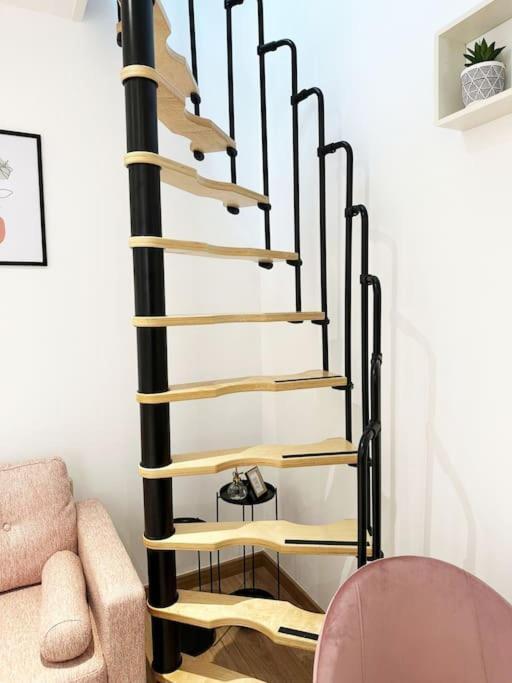 Le P'Tit Jules Mercier Apartment Dijon Ngoại thất bức ảnh